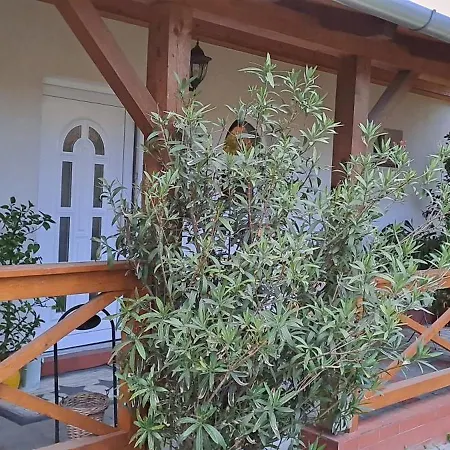 Manipura Villa Szemenyecsörnye Buitenkant foto