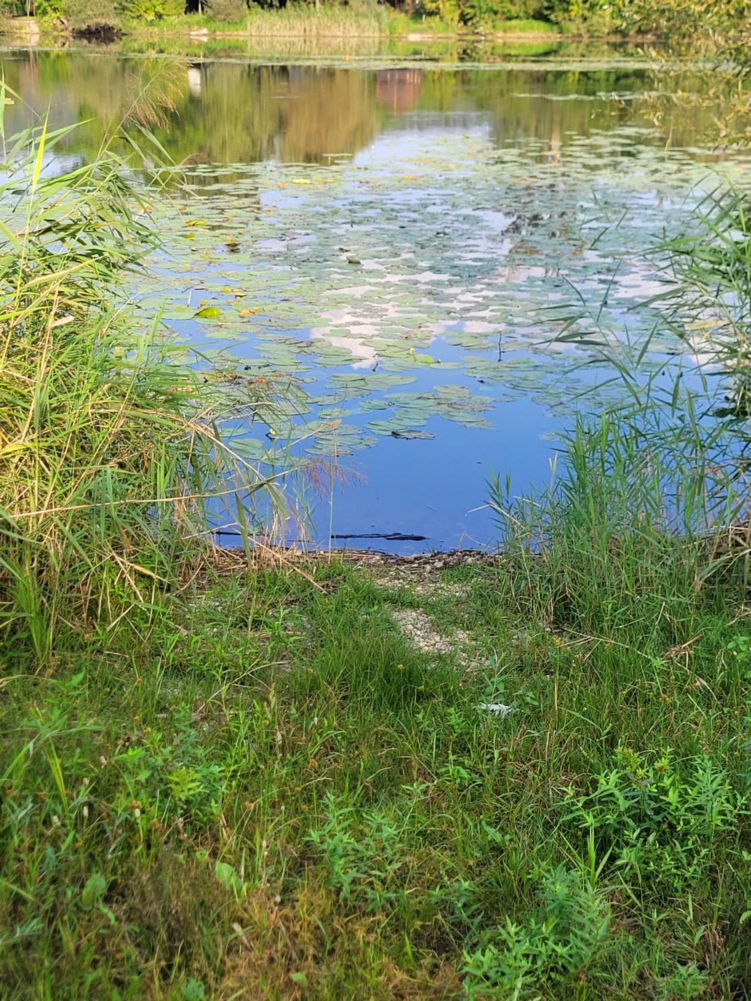 Manipura